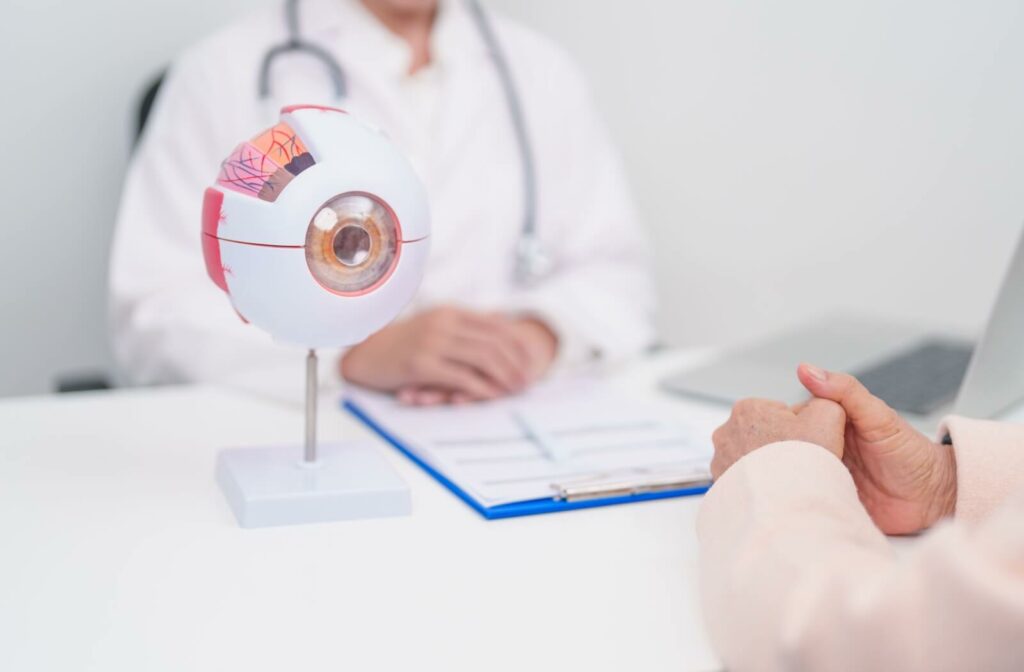 Eye model on desk during doctor-patient consultation.